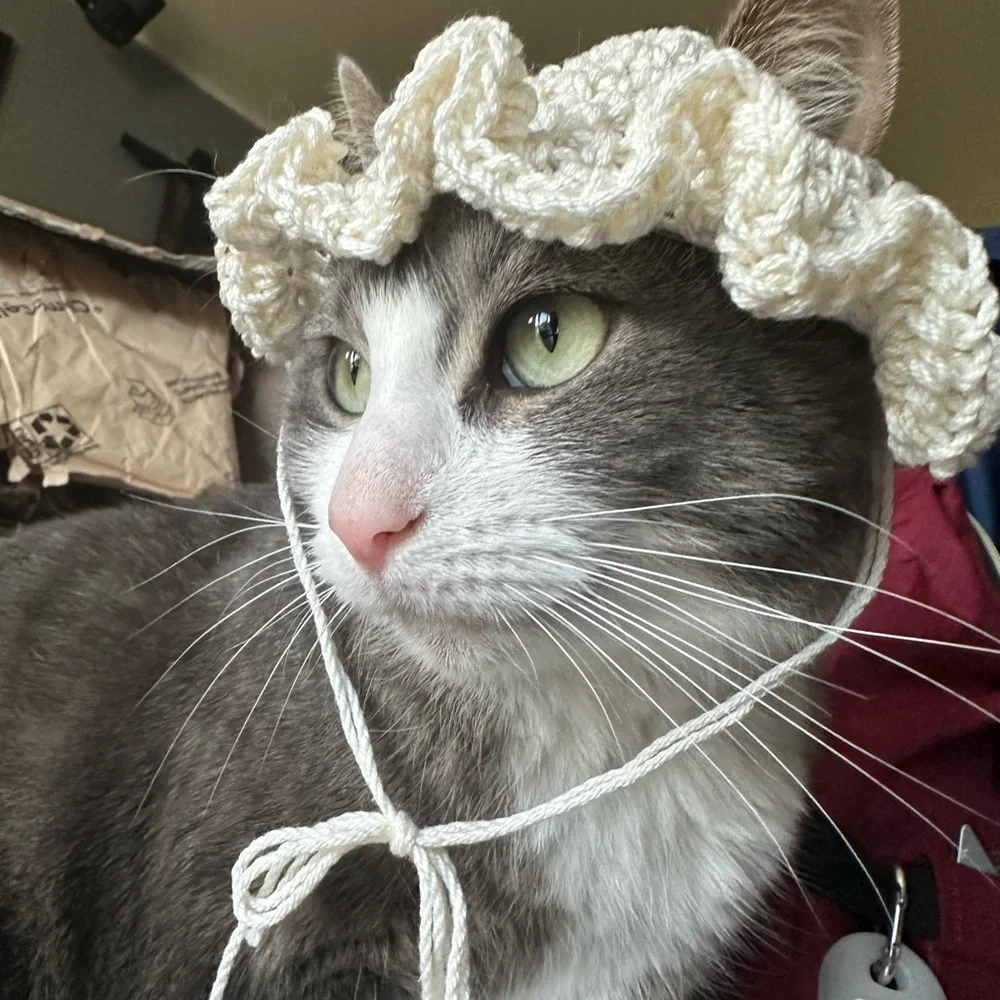 crochet hat for cat